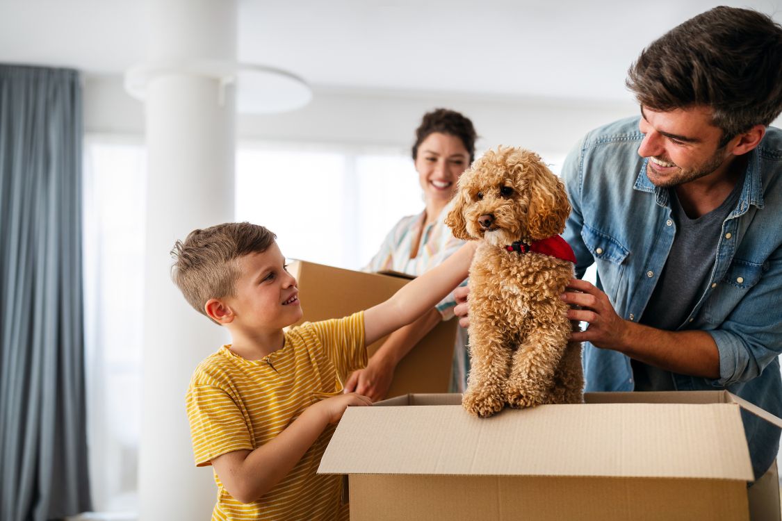 Simplifying Long-Distance Moves for Your Pets with Atlas Van Lines & Paws en Route